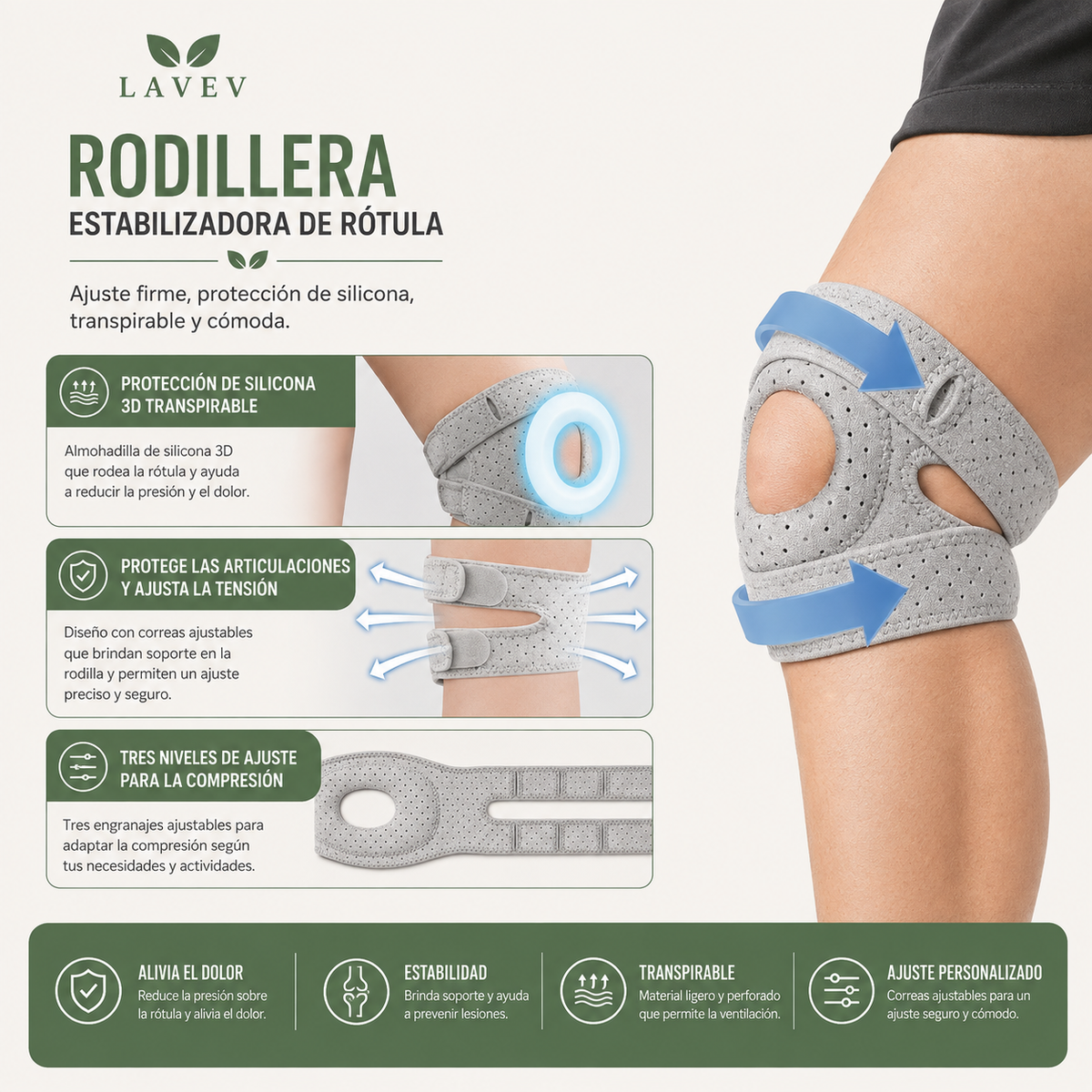 RODILLERA ESTABILIZADORA DE RÓTULA