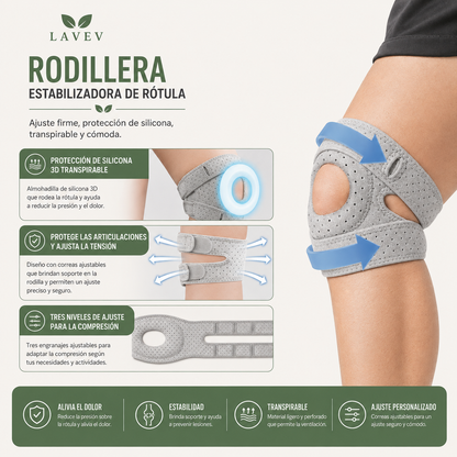 RODILLERA ESTABILIZADORA DE RÓTULA