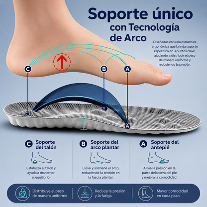 PLANTILLA ERGONÓMICA 4D HOMBRE